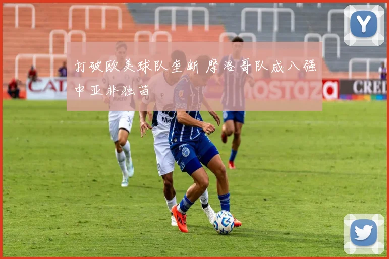 打破欧美球队垄断 摩洛哥队成八强中亚非独苗