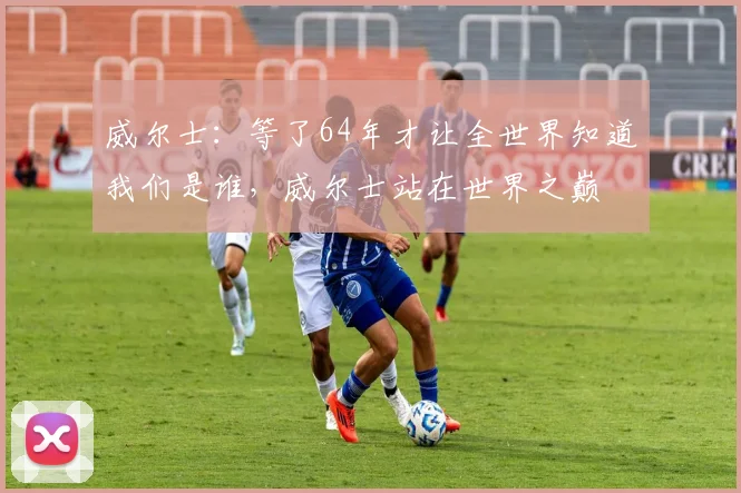 威尔士：等了64年才让全世界知道我们是谁，威尔士站在世界之巅